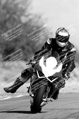 media/Nov-11-2023-SoCal Trackdays (Sat) [[efd63766ff]]/Track Exit (1130am until Lunch)/